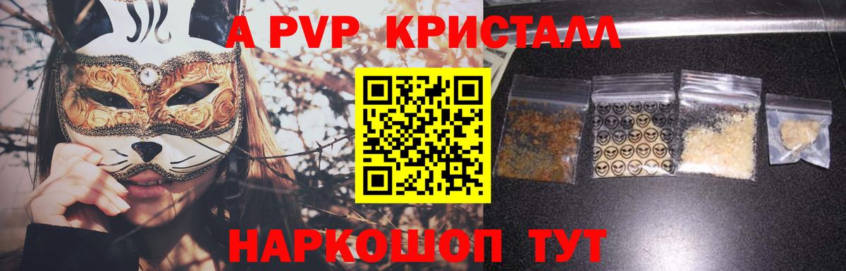 A PVP СК Светлоград