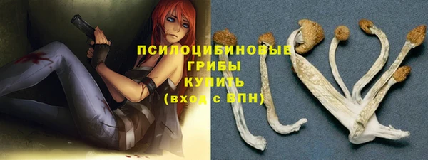 ешки Новокубанск