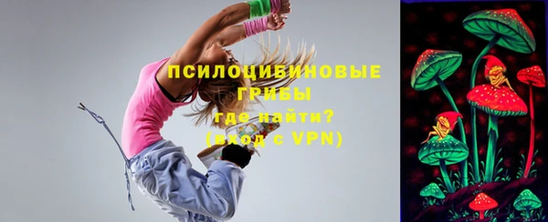 синтетический гашиш Весьегонск