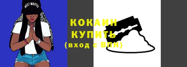 меф Новодвинск