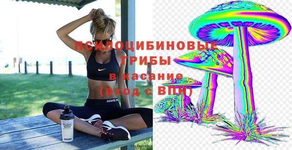 меф Новодвинск