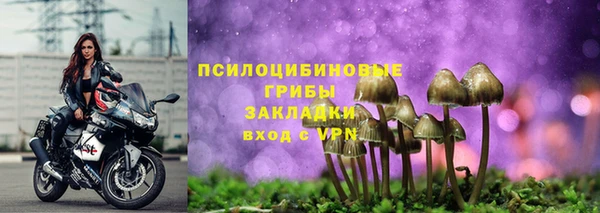 соль курить ск Новозыбков