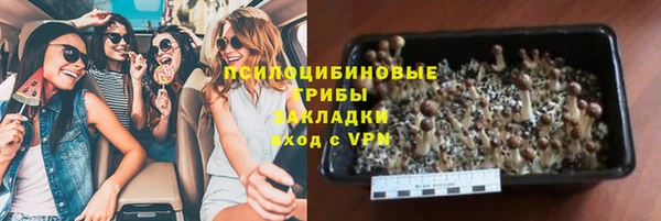 ешки Новокубанск