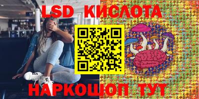 хмурый Берёзовский
