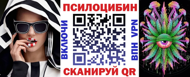 хочу   Светлоград  Галлюциногенные грибы Psilocybine cubensis 