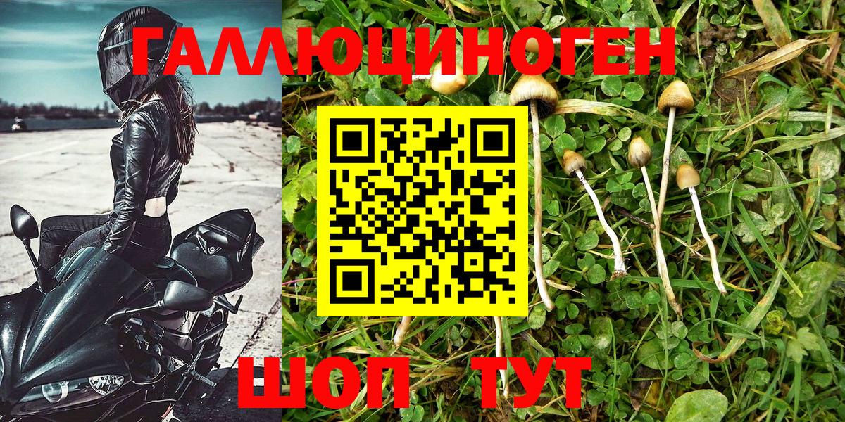 Псилоцибиновые грибы Magic Shrooms Светлоград